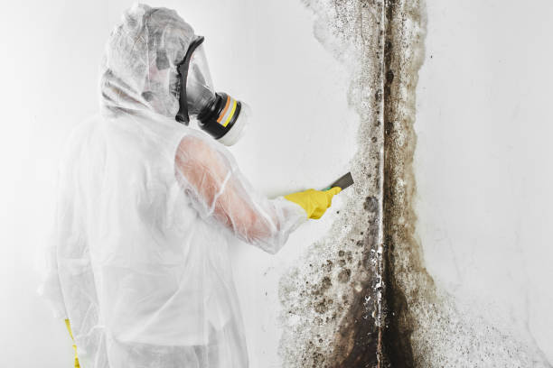 Best Mold Testing  in Woodson Terrace, MO