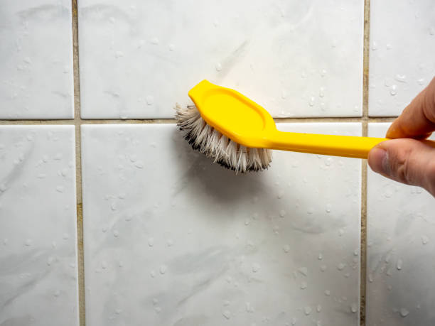 Reliable Woodson Terrace, MO Mold Removal Solutions